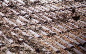 Silvergate roof cleaning companies