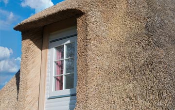 Silvergate thatch roof disadvantages